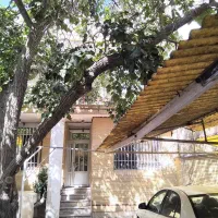 سه خواب قیمت شکار نوزده بهمن(عموگلی)