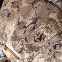 انواع پارچه ۳/۵ متری قیمت ۳۵۰ و ۳۰۰|لباس|اردبیل, |دیوار