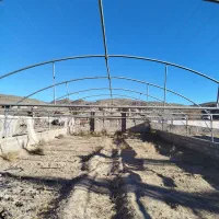 گلخانه فروشی