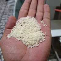 برنج درجه یک خالص و با کیفیت و عطری(کشاورزم)|خوردنی و آشامیدنی|محمودآباد, |دیوار