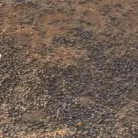کود گوسفندی خالص.کودپشکل.کودخالص