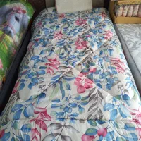 روتختی پیگمنت حراج|سرویس روتختی|کرمانشاه, |دیوار