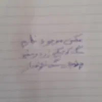 سگ کوچولو زرد و سفید گمشده مژدگانی محفوظ