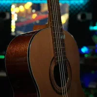 گیتار حرفه ای