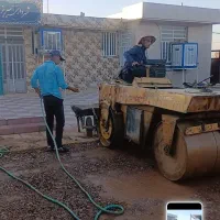 غلطک سی جی 11 داناپاک اصلی