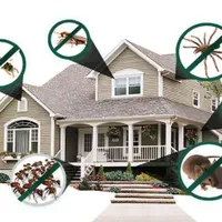 سم پاشی ساس،سم پاشی موریانه،موش،سوسک کابینتی|خدمات نظافت|بندرعباس, |دیوار