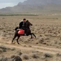 سیلمی سواری دار کرد جوان|اسب و تجهیزات اسب‌سواری|بستان آباد, |دیوار