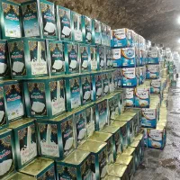 عمده و خرده فروشی پنیر و کره لیقوان