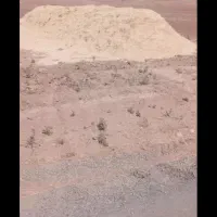 فروش کاه دیم