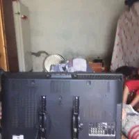 تلویزیون