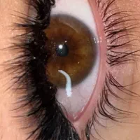 میکاپ|خدمات آرایشگری و زیبایی|سلماس, |دیوار