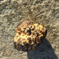 سنگ|کلکسیون اشیاء عتیقه|چهارباغ, |دیوار