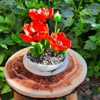 گل خمیری و گلدون سنگی صنایع دستی|گل مصنوعی|رشت, هلال احمر|دیوار