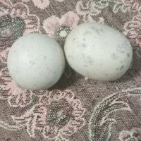 سنگ قیمتی