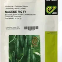 بذر خیار گلخانه‌ای ناگین به تعداد محدود