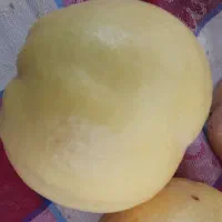 به شهربابک|خوردنی و آشامیدنی|انار, |دیوار