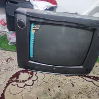 تلوزیون