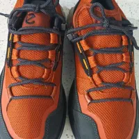 کفش اکو|کیف، کفش، کمربند|رشت, رشتیان|دیوار