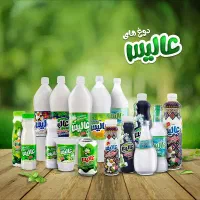 جذب ویزیتور حضوری شرکت عالیس