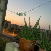 آپارتمان ۸۵ متری شهرک زیتون (مسکن مهر سعدآباد)|فروش آپارتمان|گرگان, |دیوار