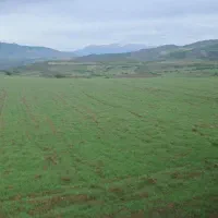 یک قطعه زمین زاراعی|فروش دفتر صنعتی، کشاورزی، تجاری|دیلمان, |دیوار