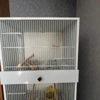 قفس اروپایی ۳ طبقه|لوازم جانبی حیوانات|شیراز, شهرک گلستان|دیوار