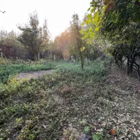 زمین مسکونی دور دیوار بازدیدکنید انتخاب قطعی شماست|فروش زمین و ملک کلنگی|خمام, |دیوار