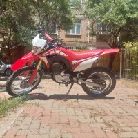 باسل250