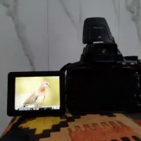 دوربین نیکون Nikon Coolpix P900|دوربین عکاسی و فیلم‌برداری|جم, |دیوار