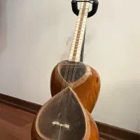 تار ایرانی حرفه ای