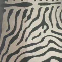 گلیم فرش ۶متری در حد نو