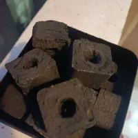 ذغال فشرده چینی|عمده‌فروشی|کرج, چمران|دیوار