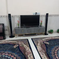 زیر تلویزیونی