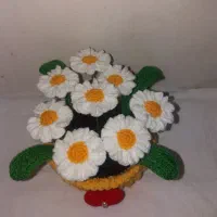 سبد گل بابونه