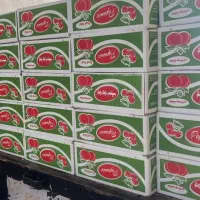 تولید لواشک در مدلهای مختلف|خوردنی و آشامیدنی|پاکدشت, پاکدشت (مامازند)|دیوار