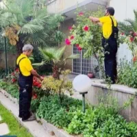 نیروی فضای سبز و باغبانی