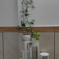 پایه گلدان سالم ونو همراه با گلدان ها