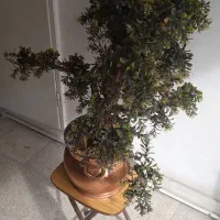 گلان مسی و گل برگ مصنوعی|کلکسیون و سرگرمی|تهران, تهران‌ویلا|دیوار