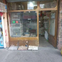 پرنده سرای بیزیم قناری در سیلاب قوشخانه