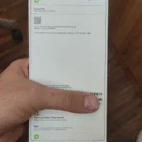 17 pro