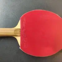 راکت پینگ پنگ گارایدیاZLC