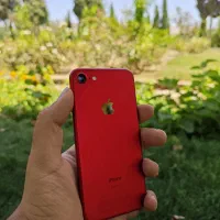 اپل iPhone 7 تمیز سالم درحدنو کمکار 256 گیگ