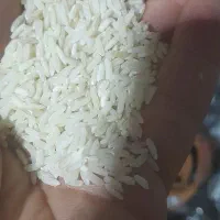 برنج شمال بهترین برنج|عمده‌فروشی|مشگین شهر, |دیوار