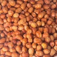 سنجد سایز ۲