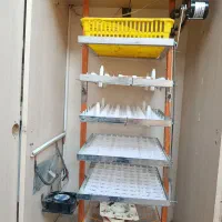 دستگاه جوجه کشی سینا 210 تایی تمام اتوماتیک|لوازم جانبی حیوانات|قم, وادی السلام|دیوار