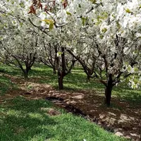 اسکان رایگان زوج و خانواده کاملا رایگان