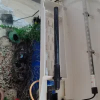 آکواریوم mahiran|ماهی|لنگرود, |دیوار