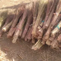 جاروی بلند|لوازم نظافت|یاسوج, |دیوار