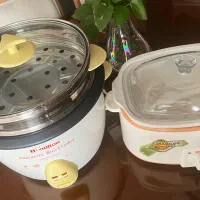 آرام پز پلو پز و بخار پز