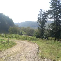 ۴۰۰ متر زمین مسکونی پلاک یک جنگل ویو ابدی|فروش زمین و ملک کلنگی|شیرگاه, |دیوار